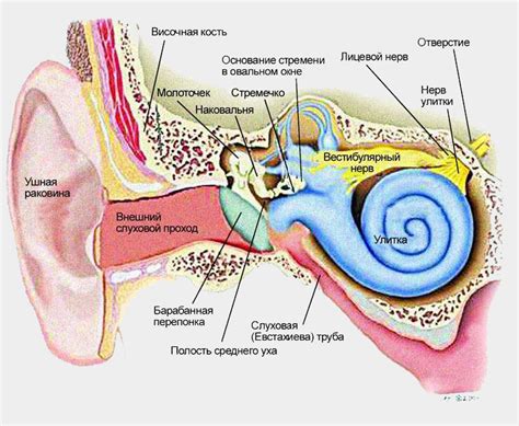 Современные методы лечения заболеваний органа слуха